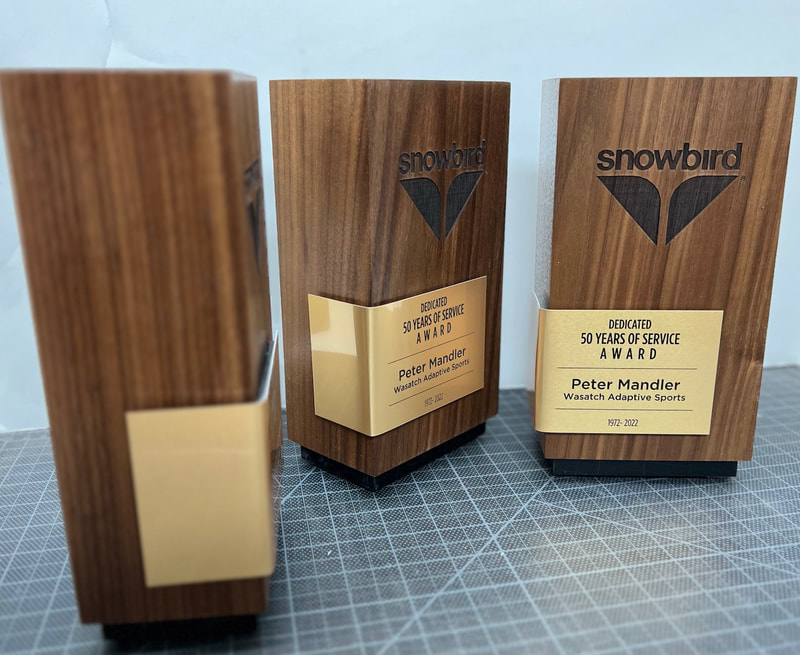 award-custom-wood-modern-new